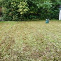 Garten-AG_Herbst_2025_11