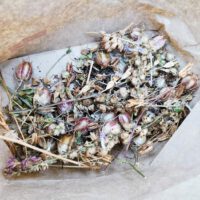 Garten-AG_Herbst_2025_14