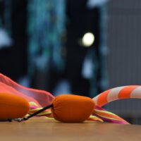 Zirkus_Jubilaeum_2026_64